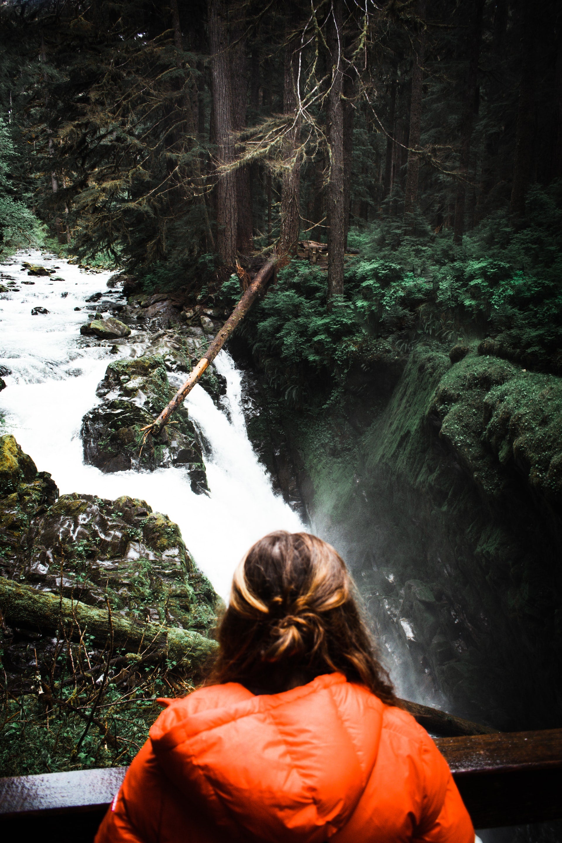 Top 10 Spring Hikes in Washington: Explore the Beauty of the Cascades and Beyond