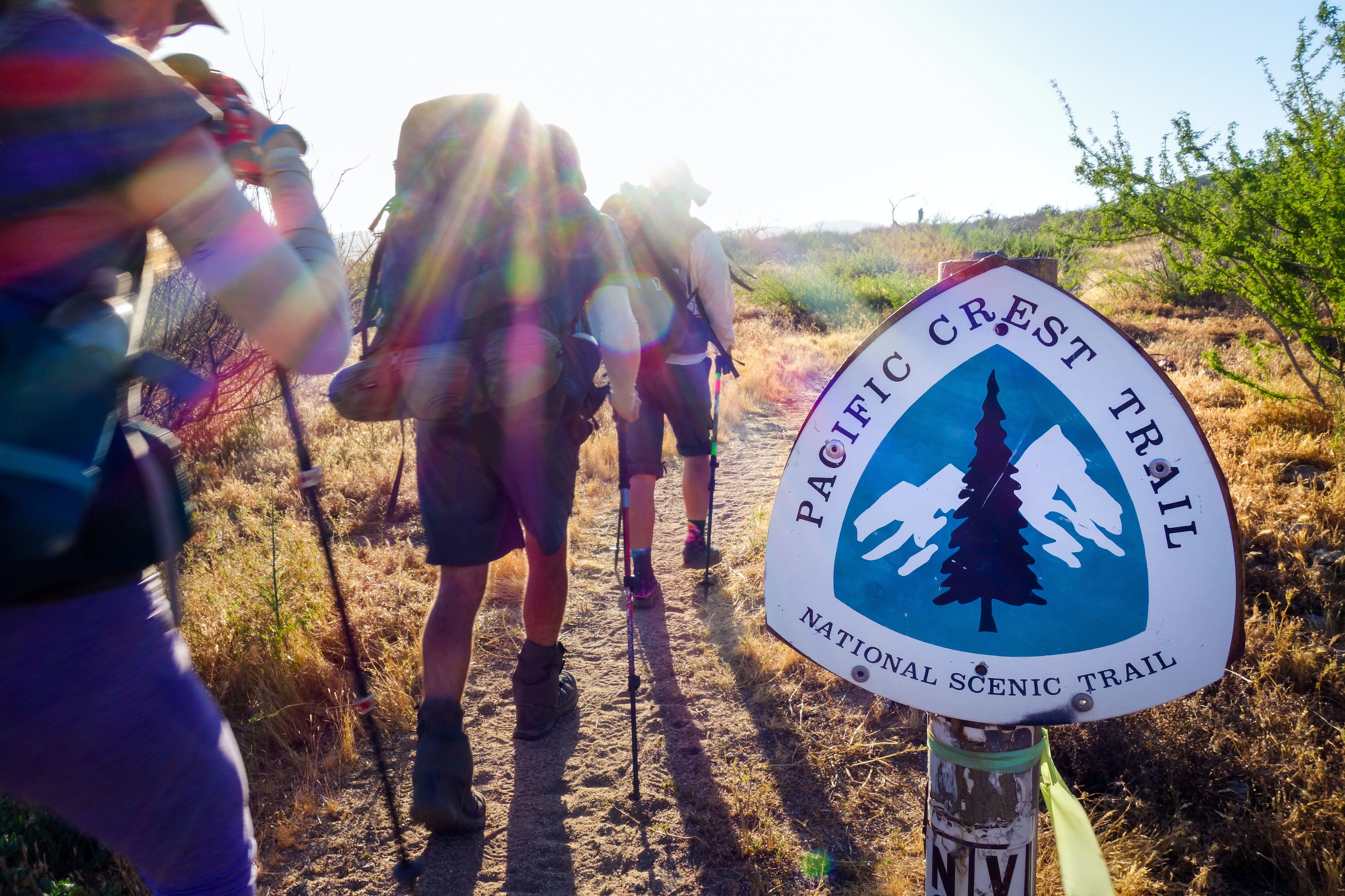 Embarking on an Unforgettable Adventure: Hiking the Pacific Crest Trail